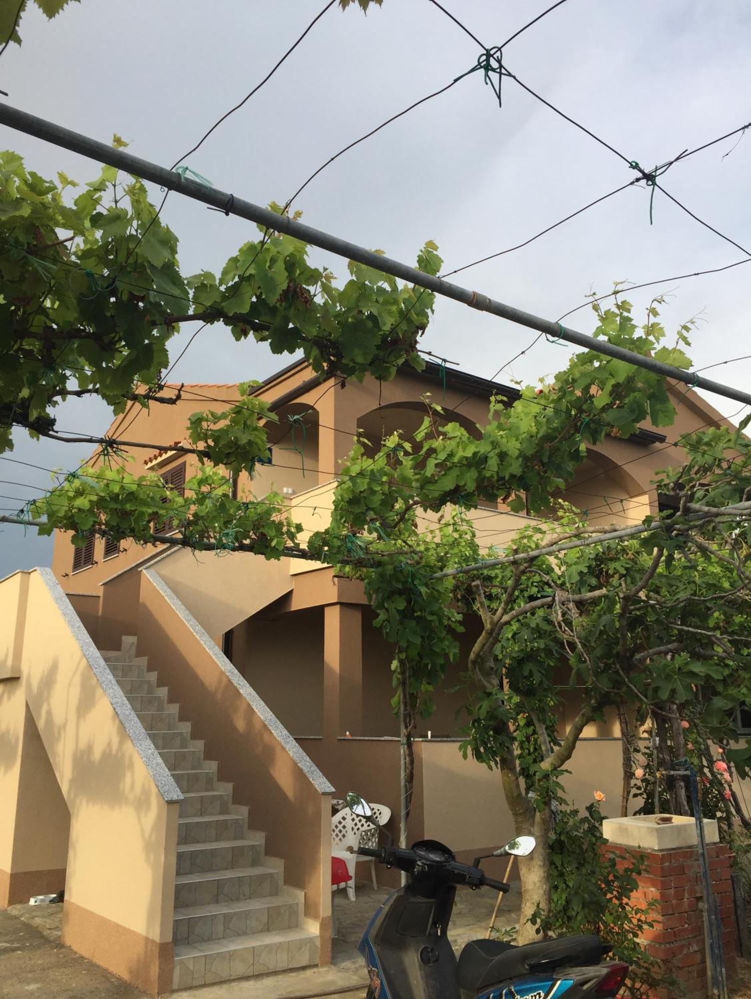 Apartments Anka Nin Exterior photo